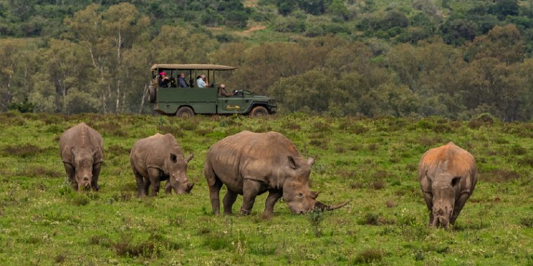 083 Port Elizabeth, Pumba Private Game Reserve, Zuid-Afrika.jpg